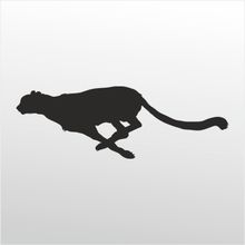 Technopa Çita 70 cm Folyo Duvar Stickerı