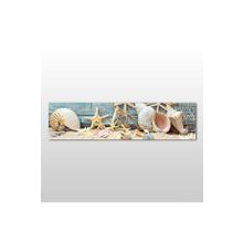 Technopa Deniz Yıldızı ve Deniz Kabuğu 210x70 cm Kanvas Tablo
