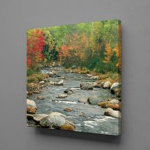 Technopa Deredeki Taşlar 110x110 cm Kanvas Tablo