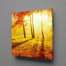 Technopa Doğa Manzarası 60x60 cm Kanvas Tablo
