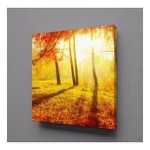 Technopa Doğa Manzarası 70x70 cm Kanvas Tablo