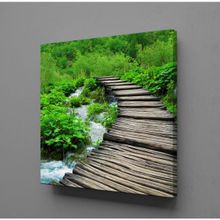 Technopa Doğadaki Köprü 40x40 cm Kanvas Tablo