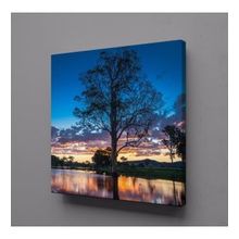 Technopa Göl İçindeki Ağaç 70x70 cm Kanvas Tablo