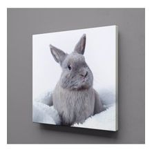 Technopa Gri Tavşan 25x25 cm Kanvas Tablo