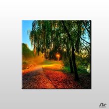 Technopa Güneşin Dokunuşu 40x40 cm Kanvas Tablo