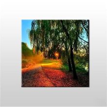Technopa Güneşin Dokunuşu 90x90 cm Kanvas Tablo