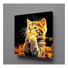 Technopa Işıltılı Kedi 70x70 cm Kanvas Tablo