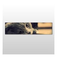 Technopa Kedi 210x70 cm Kanvas Tablo