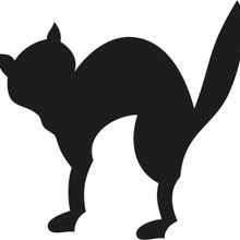 Technopa Kedi 40 cm Folyo Duvar Stickerı