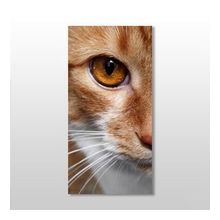 Technopa Kedi 50x75 cm Kanvas Tablo