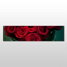 Technopa Kırmızı Gül 240x80 cm Kanvas Tablo