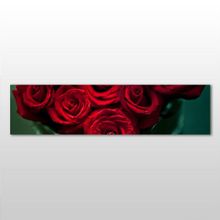 Technopa Kırmızı Gül 90x30 cm Kanvas Tablo