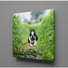 Technopa Köpek 110x165 cm Kanvas Tablo