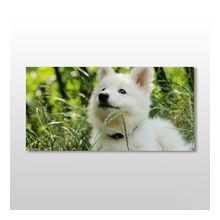 Technopa Köpek Beyaz 140x70 cm Kanvas Tablo