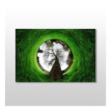 Technopa Küre Çimenlik 150x100 cm Kanvas Tablo