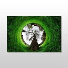 Technopa Küre Çimenlik 45x30 cm Kanvas Tablo