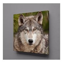 Technopa Kurt 60x60 cm Kanvas Tablo