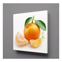 Technopa Mandalina 50x50 cm Kanvas Tablo
