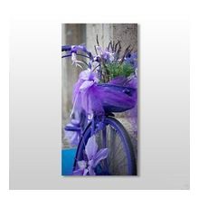 Technopa Mor Bisiklet 40x60 cm Kanvas Tablo