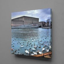 Technopa Ördeklerle Göl Manzarası 120x120 cm Kanvas Tablo