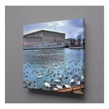 Technopa Ördeklerle Göl Manzarası 50x50 cm Kanvas Tablo