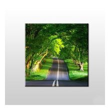 Technopa Orman Içindeki Yol 90x90 cm Kanvas Tablo