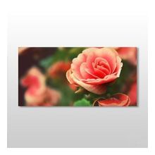 Technopa Pembe Gül 120X60 cm Kanvas Tablo