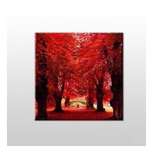 Technopa Sonbahar Ağaçlar 80x80 cm Kanvas Tablo