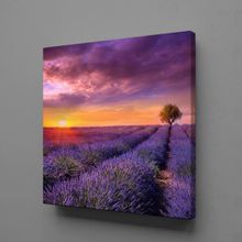 Technopa Sümbül Tarlası 30x30 cm Kanvas Tablo