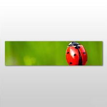 Technopa Uğur Böceği 90x30 cm Kanvas Tablo