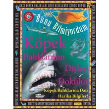 Teleskop Popüler Bilim - Köpek Balıklarının Dişleri Dökülür - Bunu Bilmiyordum - Köpek Balıklarına Dair Harika Bilgiler!
