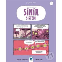 Temel Kavramlarla Sinir Sistemi Joseph Midthun Mavi Kelebek Yayınları