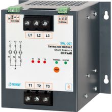 Tense SRL-30T 30kV 85-260V Svc Endüktif Yük Sürücüsü