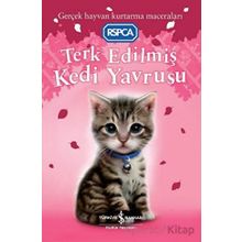Terk Edilmiş Kedi Yavrusu - Sue Mongredien