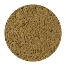 Tetra 250 gr Pleco Veggie Wafers Çöpçü Vatoz Yemi