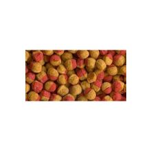 Tetra Cichlid Colour Mini Granules 100 gr Balık Yemi