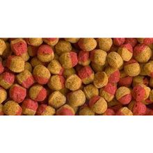 Tetra Cichlid Colour Mini Granules 500 gr Balık Yemi