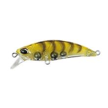 Tetra Works Toto 48HS CCC0312 Gold Shrimp Suni Yem