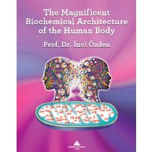The Magnificent Biochemical Architecture Of The Human Body - İnci Özden