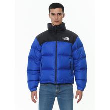 The North Face NF0A3C8DCZ Mavi Erkek Mont