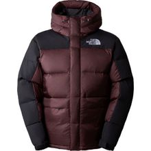 The North Face NF0A4QYXLOS1 Hmlyn Down Kahverengi Erkek Parka Ceket