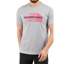 The North Face NF0A5IH1DYX1 Gri Erkek T-shirt