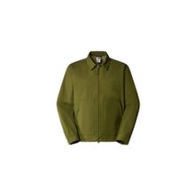 The North Face NF0A870FPIB1 Yeşil Erkek Ceket
