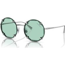Tiffany & Co. 3091 6001D9 Kadın Güneş Gözlüğü