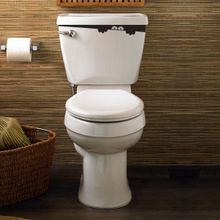 Tilki Dünyası Gizemli Bakışlar Klozet Kapağı ve Banyo Sticker
