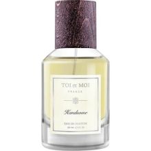 Toi et Moi Handsome EDP 50 ml Erkek Parfüm