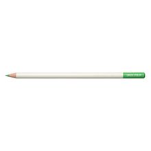Tombow Irojıten Ice Green Kuru Boya Kalemi
