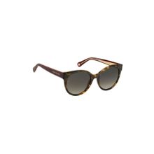 Tommy Hilfiger TH1885 S 05LHA Cat Eye Kırçıllı Kahverengi Kadın Güneş Gözlüğü