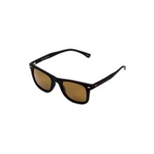Toms Teddy 6002-5 C202M Kahverengi Erkek Güneş Gözlüğü