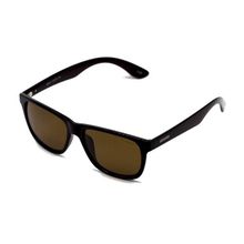 Toms Teddy 6003-2 C202P Kahverengi Erkek Güneş Gözlüğü